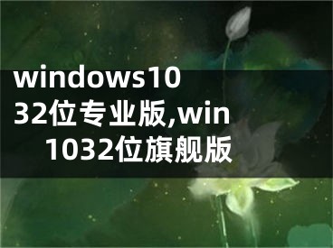 windows10 32位专业版,win1032位旗舰版