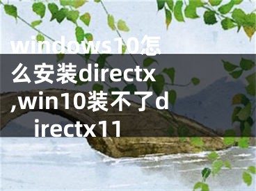 windows10怎么安装directx,win10装不了directx11