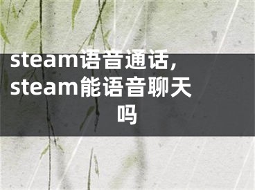 steam语音通话,steam能语音聊天吗