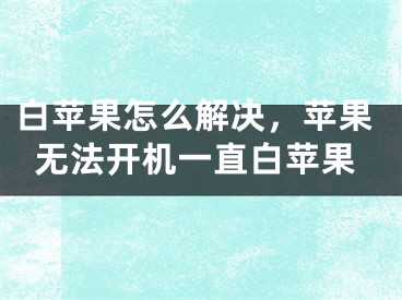 白苹果怎么解决，苹果无法开机一直白苹果