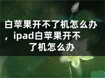 白苹果开不了机怎么办，ipad白苹果开不了机怎么办