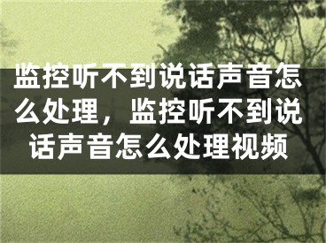 监控听不到说话声音怎么处理，监控听不到说话声音怎么处理视频