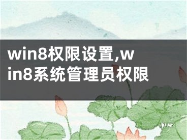 win8权限设置,win8系统管理员权限