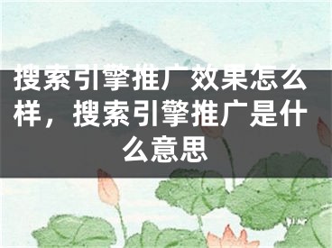 搜索引擎推广效果怎么样，搜索引擎推广是什么意思