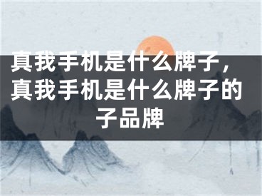 真我手机是什么牌子，真我手机是什么牌子的子品牌