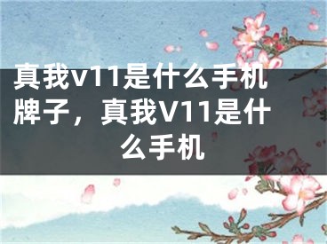 真我v11是什么手机牌子，真我V11是什么手机