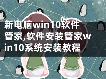 新电脑win10软件管家,软件安装管家win10系统安装教程