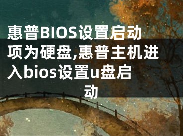 惠普BIOS设置启动项为硬盘,惠普主机进入bios设置u盘启动