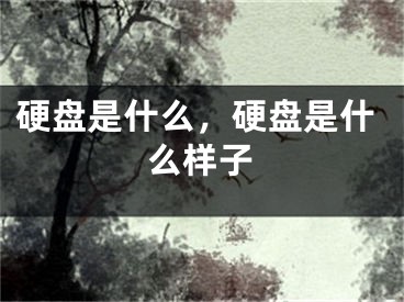 硬盘是什么，硬盘是什么样子