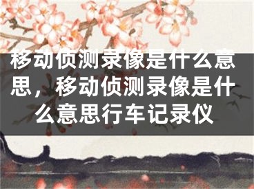 移动侦测录像是什么意思，移动侦测录像是什么意思行车记录仪