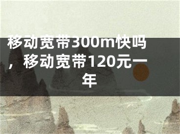 移动宽带300m快吗，移动宽带120元一年