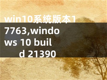 win10系统版本17763,windows 10 build 21390