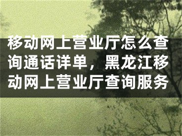 移动网上营业厅怎么查询通话详单，黑龙江移动网上营业厅查询服务