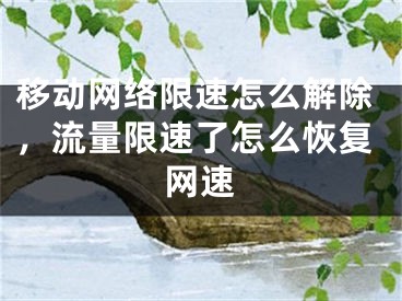 移动网络限速怎么解除，流量限速了怎么恢复网速