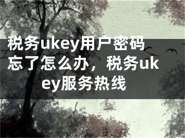 税务ukey用户密码忘了怎么办，税务ukey服务热线