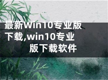 最新Win10专业版下载,win10专业版下载软件