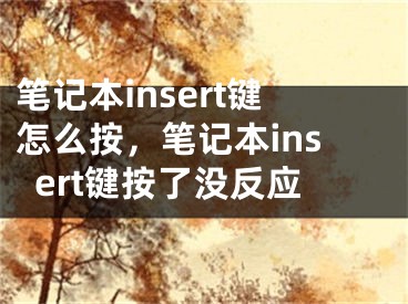 笔记本insert键怎么按，笔记本insert键按了没反应
