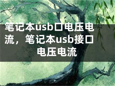 笔记本usb口电压电流，笔记本usb接口电压电流