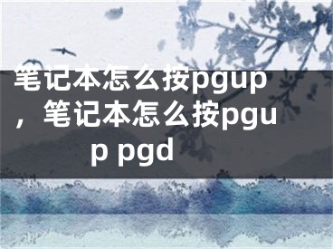 笔记本怎么按pgup，笔记本怎么按pgup pgd