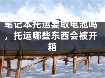 笔记本托运要取电池吗，托运哪些东西会被开箱