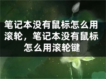 笔记本没有鼠标怎么用滚轮，笔记本没有鼠标怎么用滚轮键