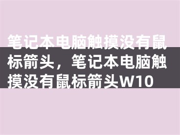 笔记本电脑触摸没有鼠标箭头，笔记本电脑触摸没有鼠标箭头W10