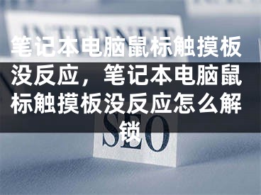 笔记本电脑鼠标触摸板没反应，笔记本电脑鼠标触摸板没反应怎么解锁