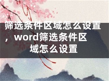 筛选条件区域怎么设置，word筛选条件区域怎么设置