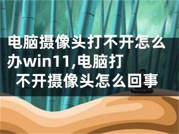 电脑摄像头打不开怎么办win11,电脑打不开摄像头怎么回事