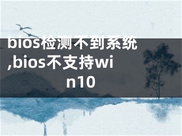 bios检测不到系统,bios不支持win10