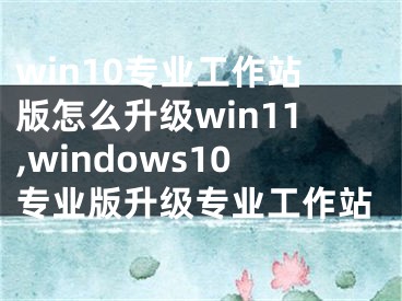 win10专业工作站版怎么升级win11,windows10专业版升级专业工作站