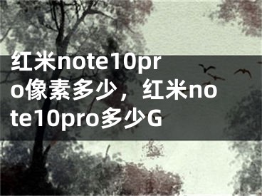 红米note10pro像素多少，红米note10pro多少G