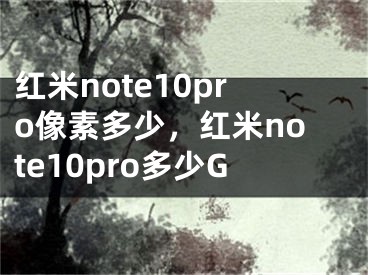 红米note10pro像素多少，红米note10pro多少G 