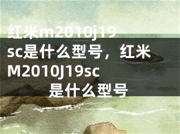 红米m2010j19sc是什么型号，红米M2010J19sc是什么型号