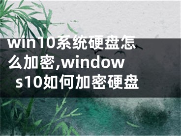 win10系统硬盘怎么加密,windows10如何加密硬盘