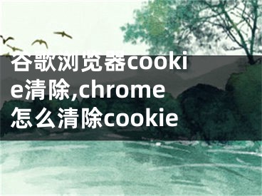 谷歌浏览器cookie清除,chrome怎么清除cookie