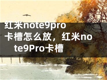 红米note9pro卡槽怎么放，红米note9Pro卡槽