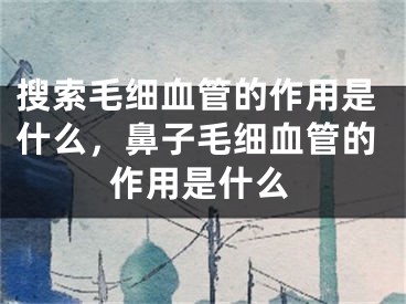 搜索毛细血管的作用是什么，鼻子毛细血管的作用是什么