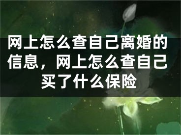 网上怎么查自己离婚的信息，网上怎么查自己买了什么保险