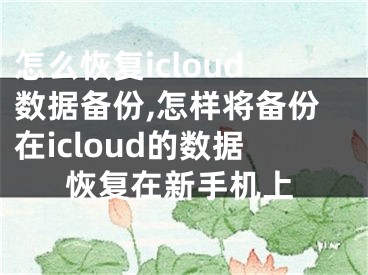 怎么恢复icloud数据备份,怎样将备份在icloud的数据恢复在新手机上