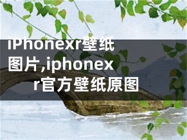 iPhonexr壁纸图片,iphonexr官方壁纸原图