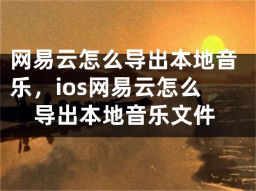 网易云怎么导出本地音乐，ios网易云怎么导出本地音乐文件