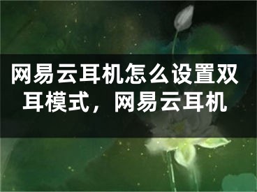 网易云耳机怎么设置双耳模式，网易云耳机