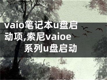 vaio笔记本u盘启动项,索尼vaioe系列u盘启动