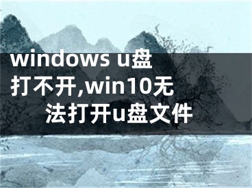 windows u盘打不开,win10无法打开u盘文件