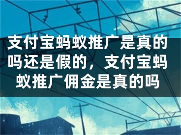 支付宝蚂蚁推广是真的吗还是假的，支付宝蚂蚁推广佣金是真的吗