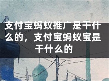 支付宝蚂蚁推广是干什么的，支付宝蚂蚁宝是干什么的