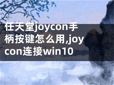 任天堂joycon手柄按键怎么用,joycon连接win10