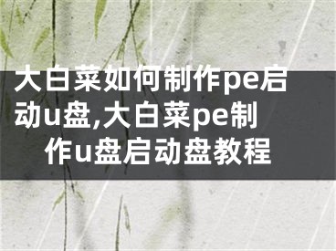 大白菜如何制作pe启动u盘,大白菜pe制作u盘启动盘教程