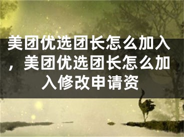 美团优选团长怎么加入，美团优选团长怎么加入修改申请资